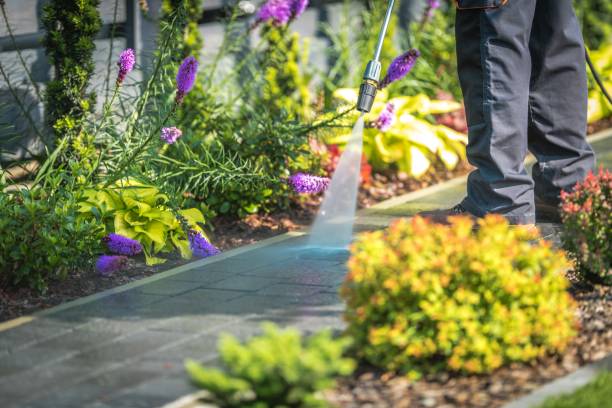  Terryville, CT Pressure Washing Pros